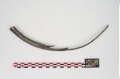 Foto von Bronzesitula (NHMW-PRAE-024606)